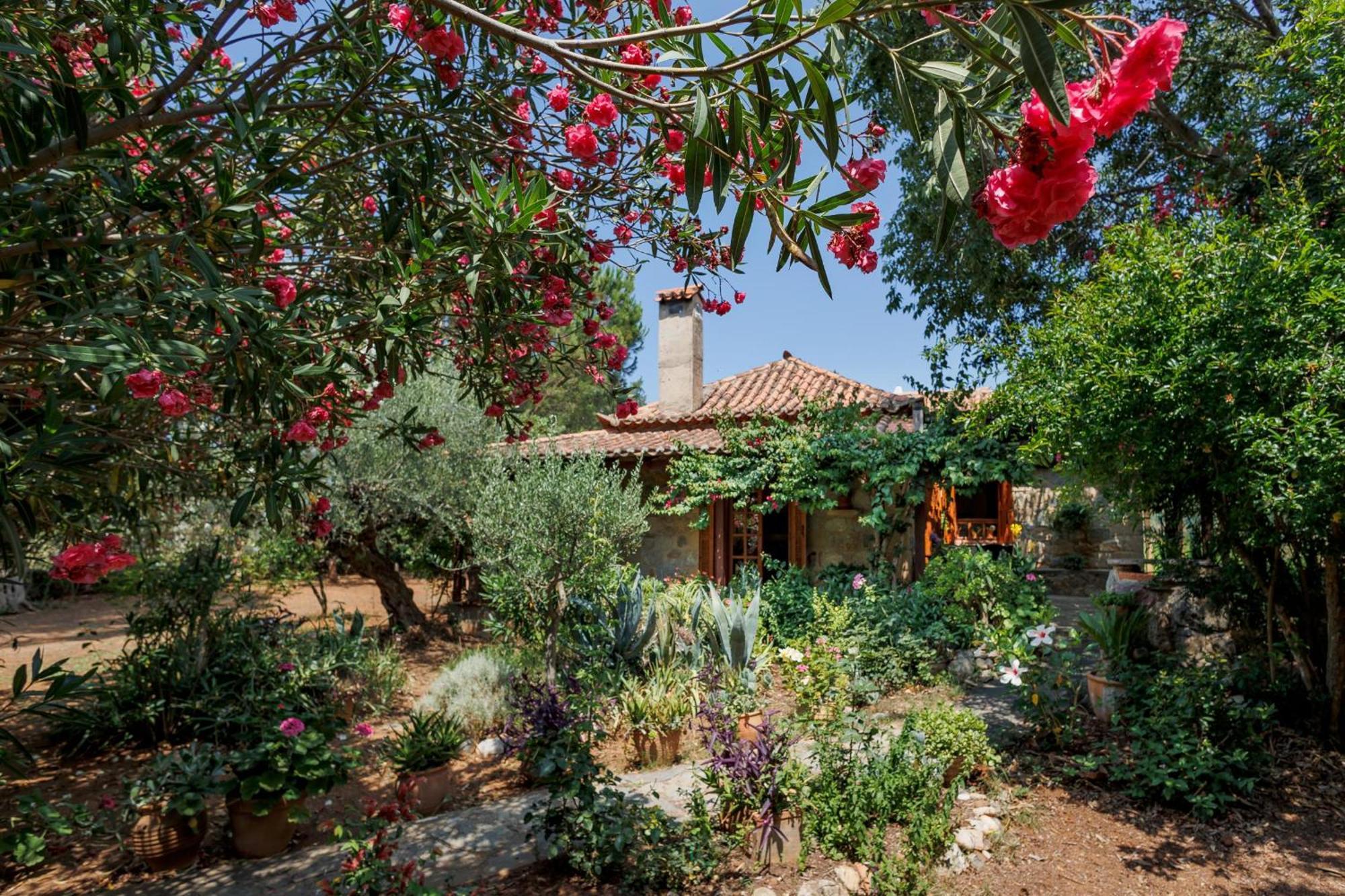Spiti Nicola Βίλα Στούπα Εξωτερικό φωτογραφία